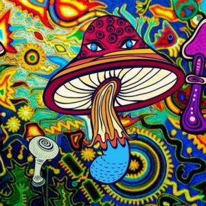 100ML 1P-LSD Microdosing Kit