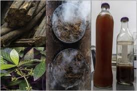 Buy Ayahuasca Tea